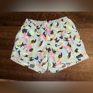 Patagonia Men's Size L Spoonbills Big Sky Blue 5" Baggies Shorts